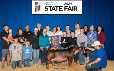4th Overall Division 3 Duroc Gilt – 2024 Indiana State Fair Jr Show