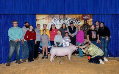 Reserve Overall Purebred Gilt & Champion Yorkshire – 2024 North Carolina State Fair