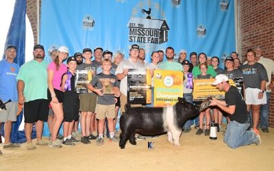 Grand Overall Cross Gilt & Champion Dark Cross (FFA) – 2024 Missouri State Fair