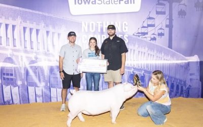 Reserve Champion Landrace Gilt – 2024 Iowa State Fair FFA Show