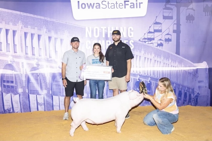 Reserve Champion Landrace Gilt – 2024 Iowa State Fair FFA Show