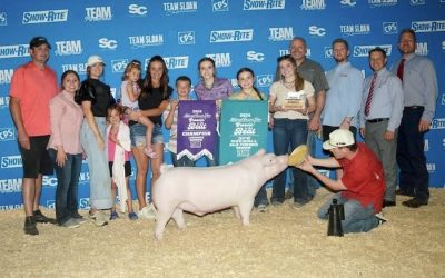3rd Overall NJSA Barrow & Champion Landrace  – 2024 Team Purebred Jr National