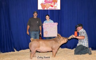5th Overall Tamworth Gilt – 2024 Tamworth Nationals