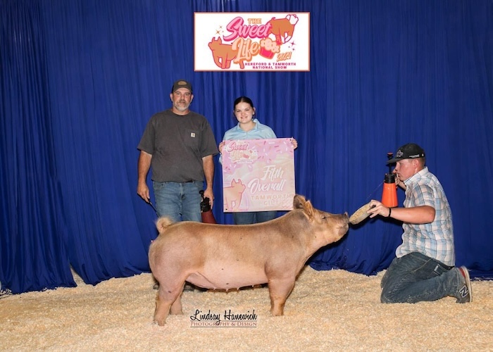 5th Overall Tamworth Gilt – 2024 Tamworth Nationals