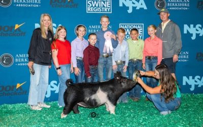4th Division 2 Crossbred Gilt – 2024 NJSS