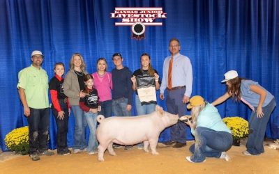 3rd Overall Gilt & Champion Yorkshire – 2024 Kansas Junior Livestock Show