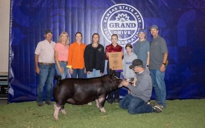 4th Overall Berkshire Gilt – 2024 Kansas State Fair