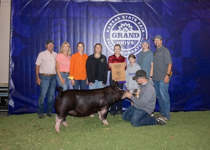 4th Overall Berkshire Gilt – 2024 Kansas State Fair