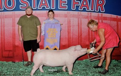 Reserve Champion Landrace Gilt – 2024 Ohio State Fair Open Show