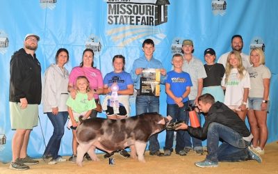 Reserve Champion Spot Barrow – 2024 Missouri State Fair FFA Show