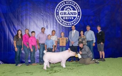 4th Overall Market Hog & Champion Yorkshire – 2024 Kansas State Fair