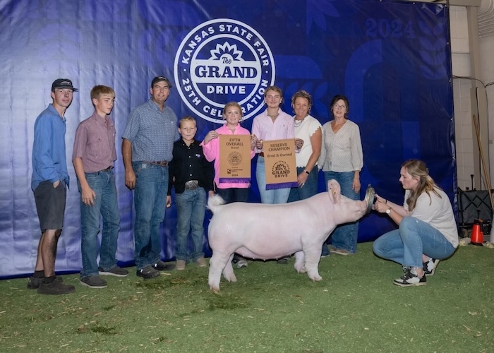 5th Overall Yorkshire Gilt – 2024 Kansas State Fair