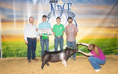 Grand Overall Gilt & Champion Crossbred – 2024 North Dakota State Fair