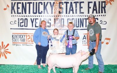Champion AOB Light Gilt – 2024 Kentucky State Fair Jr Show