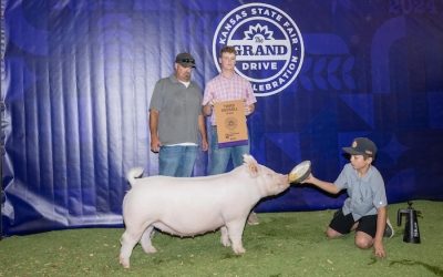 3rd Overall Yorkshire Gilt – 2024 Kansas State Fair