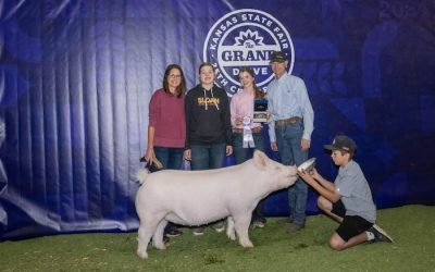 Reserve Champion Yorkshire Gilt – 2024 Kansas State Fair
