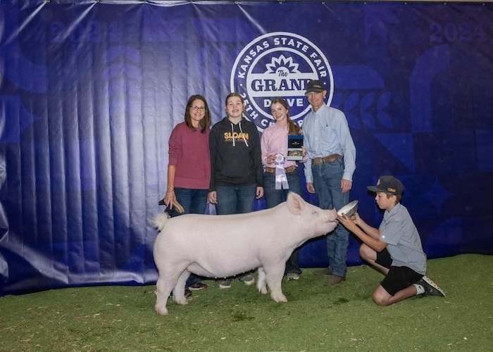 Reserve Champion Yorkshire Gilt – 2024 Kansas State Fair
