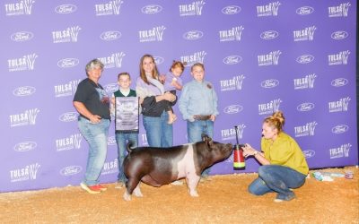 Reserve Hampshire Barrow – 2024 Tulsa State Fair