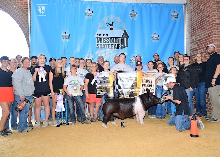 4th Overall Barrow & Reserve Champion Dark Cross (FFA) – 2024 Missouri State Fair