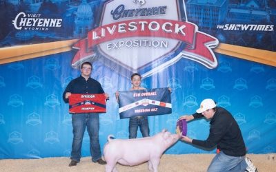 5th Overall Gilt & Champion Chester – 2024 Cheyenne Livestock Expo