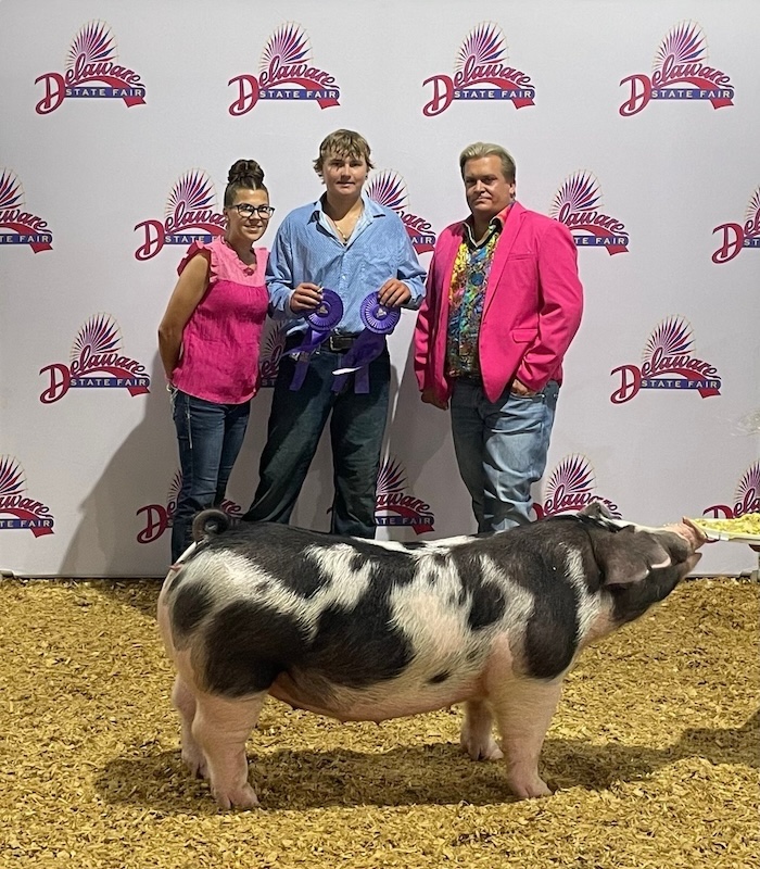 Champion Spot GIlt – 2024 Delaware State Fair