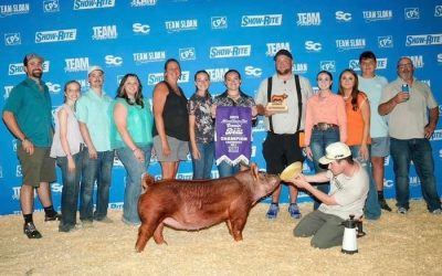 Champion Tamworth Gilt  – 2024 Team Purebred Jr National