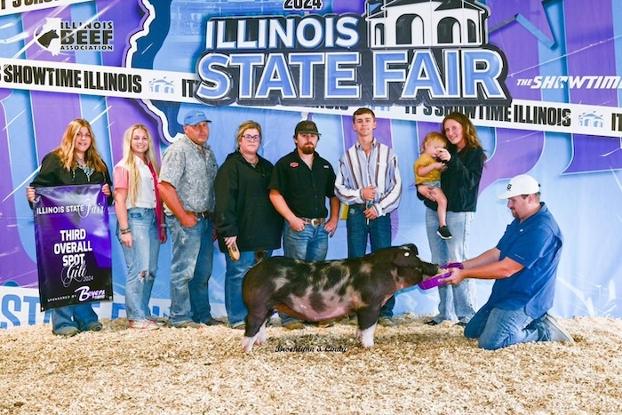 3rd Overall Spot Gilt – 2024 Illinois State Fair Jr Show