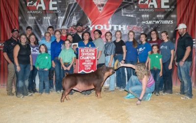 Reserve Champion Duroc Barrow – 2024 Arkansas Youth Expo