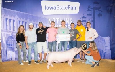 Reserve Champion Landrace Gilt – 2024 Iowa State Fair 4-H Show