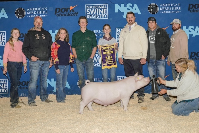 Champion Landrace Barrow – 2024 NJSA Western Regional