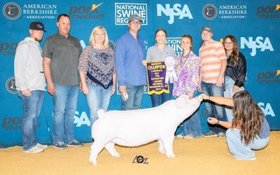 Reserve Landrace Gilt – 2024 The Exposition