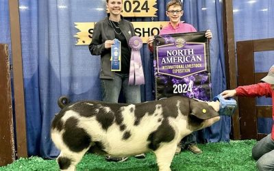 Reserve Champion Spot Gilt – 2024 NAILE
