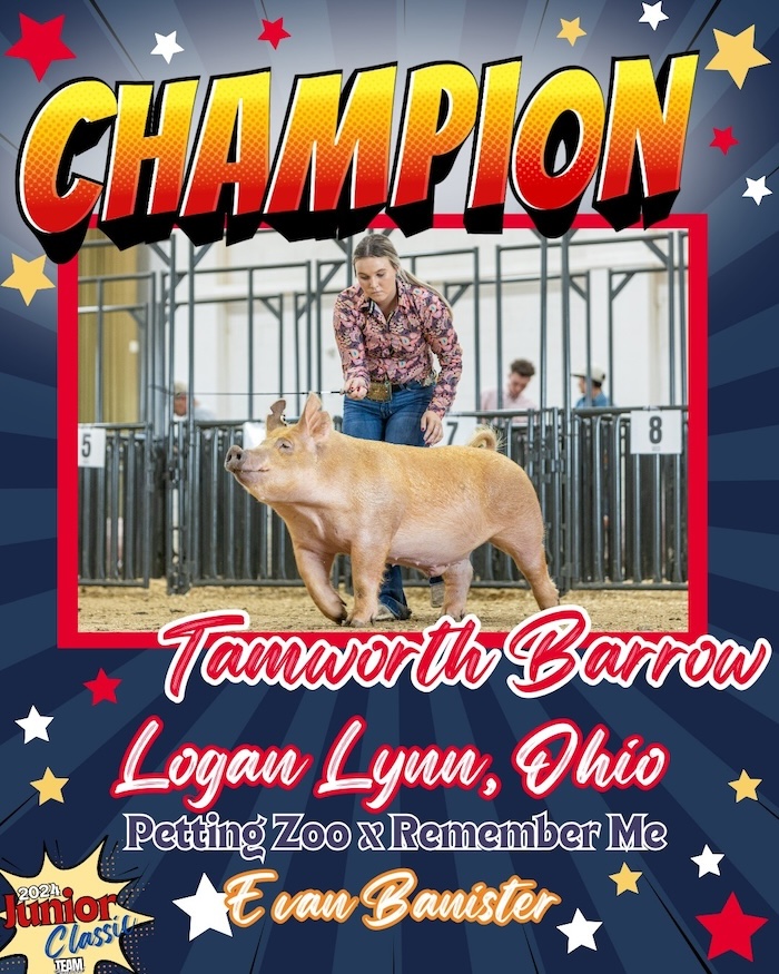 Reserve Overall TP Barrow & Champion Tamworth  – 2024 TP Junior Classic