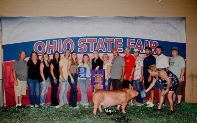 Champion Tamworth Barrow – 2024 Ohio State Fair Jr Show