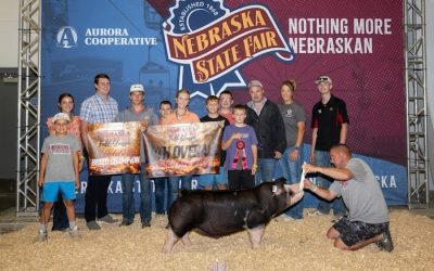 4th Overall Market Hog, Reserve Purebred & Champ Poland – 2024 Nebraska State Fair 4-H Show