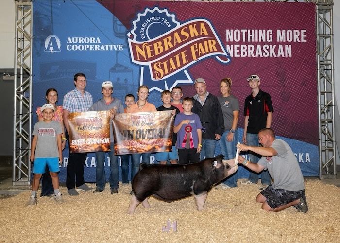 4th Overall Market Hog, Reserve Purebred & Champ Poland – 2024 Nebraska State Fair 4-H Show