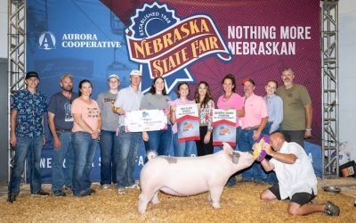 3rd Overall Gilt & Reserve Champion Light Crossbred – 2024 Nebraska State Fair Open Show