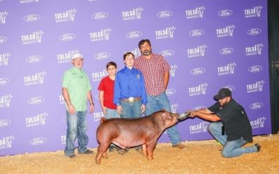 5th Overall Duroc Barrow – 2024 Tulsa State Fair