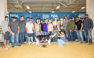 3rd Overall Spot Gilt – 2024 NJSS