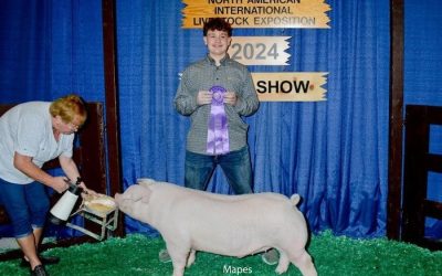 Champion Landrace Market Hog – 2024 NAILE