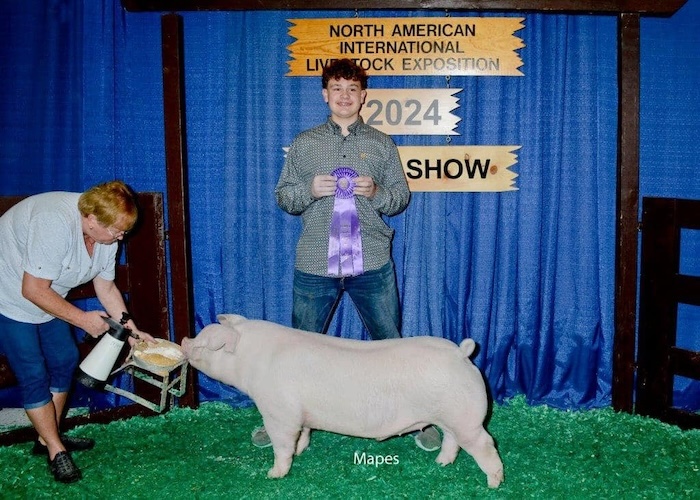 Champion Landrace Market Hog – 2024 NAILE
