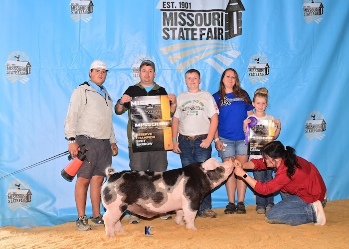 Champion Spot Barrow – 2024 Missouri State Fair 4-H Show