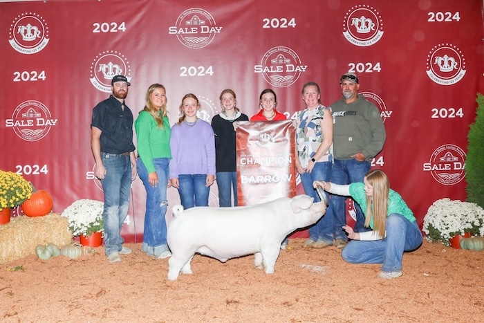 Champion Landrace Barrow – 2024 American Royal