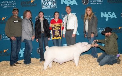 Champion Landrace Barrow – 2024 NJSA Eastern Regional