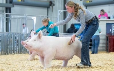 Reserve Light Cross Gilt – 2024 NJSA Eastern Regional