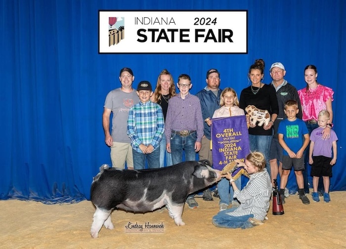 4th Overall Spot Gilt – 2024 Indiana State Fair Jr Show