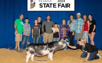 Reserve Champion Spot Barrow – 2024 Indiana State Fair Jr Show