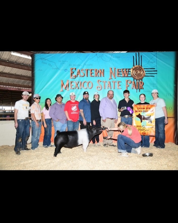 Grand Overall Barrow & Champion Hampshire – 2024 Eastern New Mexico State Fair