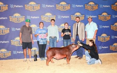 Champion Duroc Barrow – 2024 New Mexico State Fair