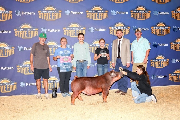 Champion Duroc Barrow – 2024 New Mexico State Fair